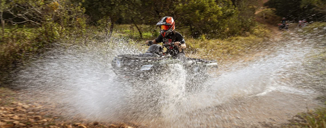 quadriciclos e gaiola 1