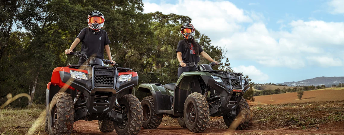 quadriciclos e gaiola 3